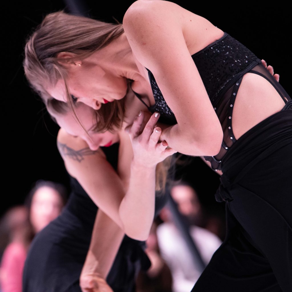 duo danse aérienne, tissu aérien, 