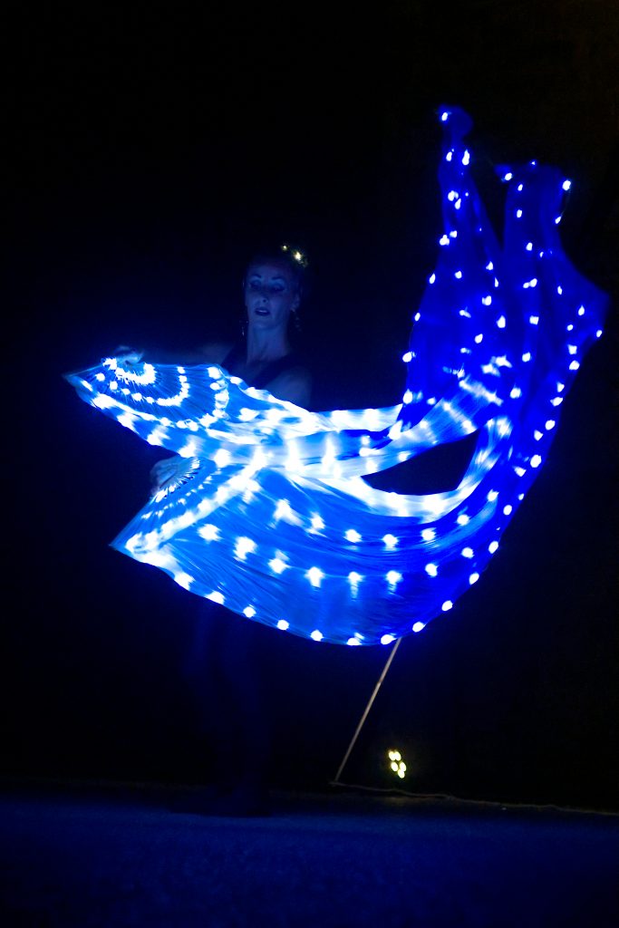 Fanveils led